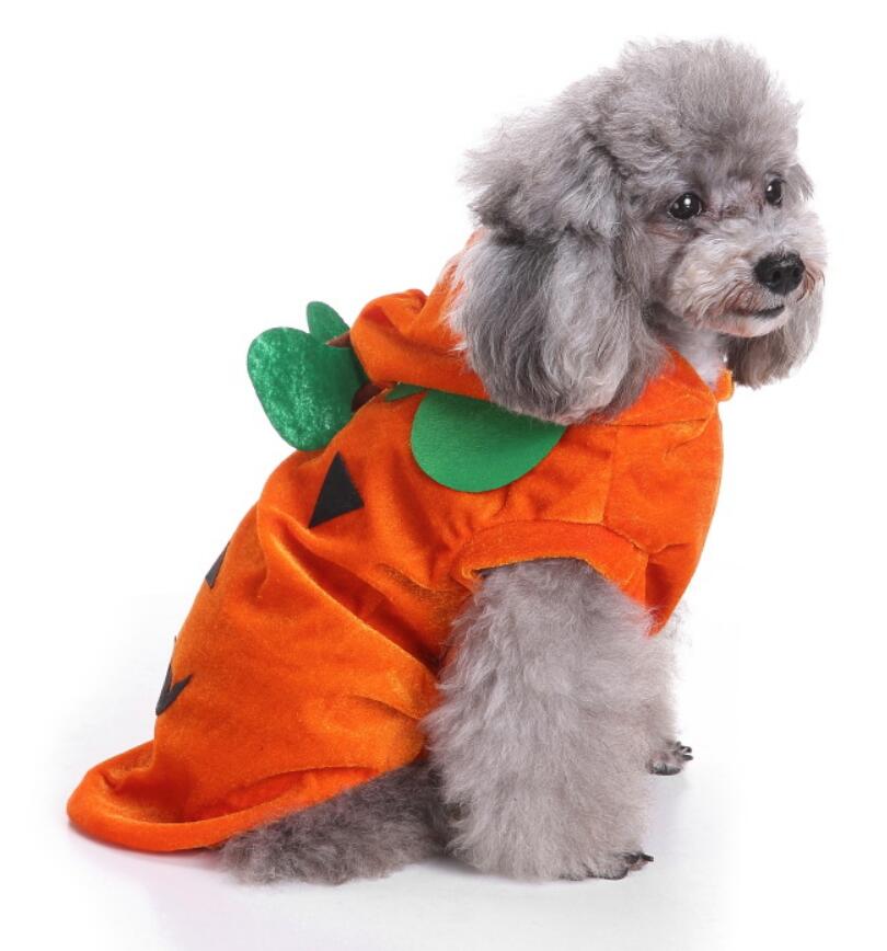 Pet Costumes