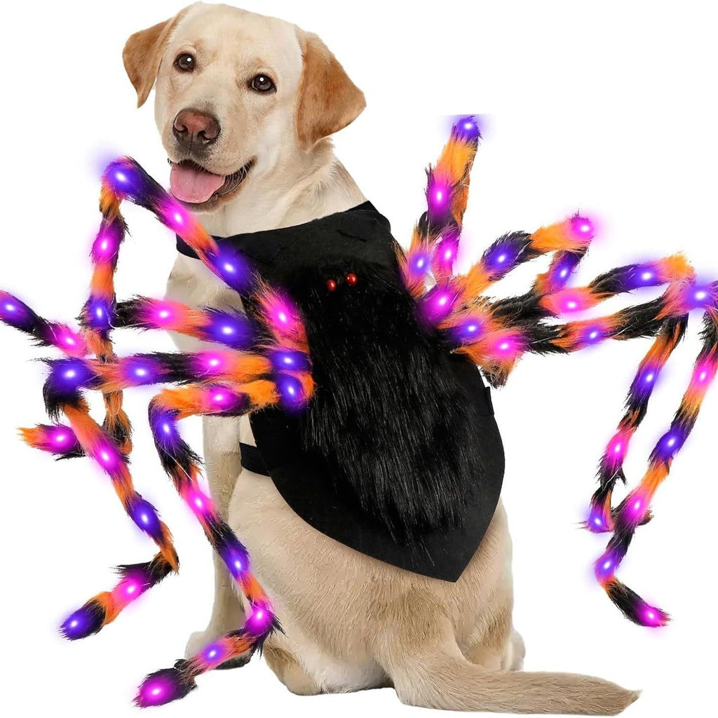 Light-Up Spider Pet Halloween Costume